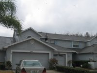 shingle roof cleaning tampa fl 33601 1-20-2010 8-31-47 PM.JPG
