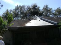 Roof Cleaning , Pressure Washing, Palm Harbor, Florida 004 (Medium).jpg