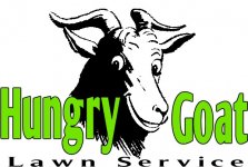 Hungry Goat.jpg