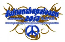 Logo-SOFTWASHAPOLOOZA-2013.jpg