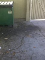Los Angeles dumpster 1 pad b4 (2).jpg