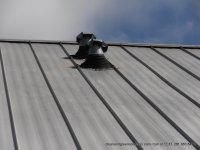 after metal roof is cleaned montgomery.JPG