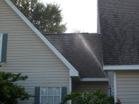 Tampa Non Pressure Roof Cleaning 016.jpg