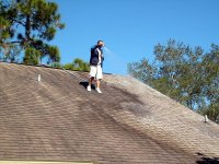 Tampa Non Pressure Roof Cleaning 008.jpg1.jpg