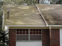 Tampa Roof Cleaning 002.jpg