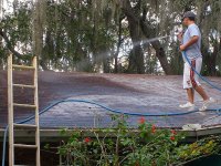 Tampa Roof Cleaning 009.jpg