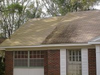 Tampa Roof Cleaning 001.jpg