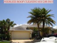 Roof Cleaning Tampa Tile 001.jpg