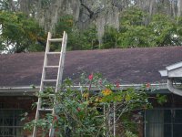 Tampa Roof Cleaning 008.jpg