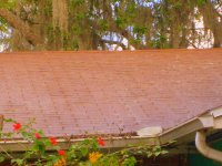 Tampa Roof Cleaning 013.jpg