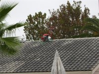 Tile Roof Cleaning Largo Florida 063 (Medium).jpg