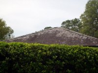 Tile-Roof-Cleaning-Tampa-FL 2-26-2008 6-50-46 AM.JPG