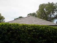 Tile-Roof-Cleaning-Tampa-FL 2-26-2008 6-56-53 AM.JPG