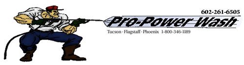 powerwasher 1-500.jpg