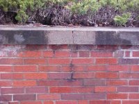 cap test (crack) afer.jpg