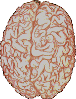 brain21.gif