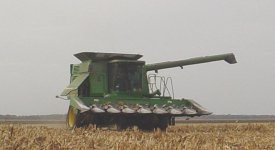 fall colors business end.jpg