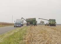 fall colors loadin corn.jpg