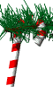 candy_cane_swing_md_wht.gif