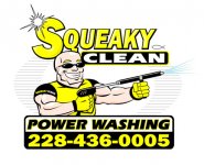 squeakycleanpwlogo.jpg