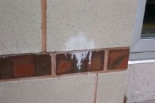 school pictures0003.jpg