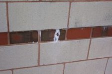 school pictures0002.jpg