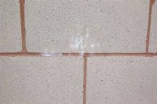 school pictures0001.jpg