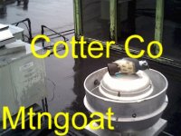 owl letter after.jpg