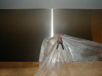 little sucker on front of hood.jpg