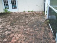 100_0068 [800x600].JPG