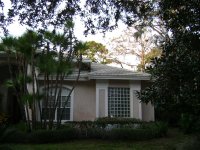 Roof Cleaning and Pressure Washing Clearwater, Dunedin Florida 057 (Medium).jpg