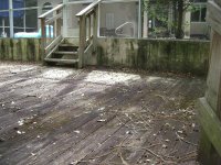 Roof Cleaning and Pressure Washing Clearwater, Dunedin Florida 034 (Medium).jpg