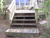 Roof Cleaning and Pressure Washing Clearwater, Dunedin Florida 032 (Medium).jpg