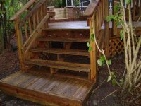 Roof Cleaning and Pressure Washing Clearwater, Dunedin Florida 043 (Medium).jpg