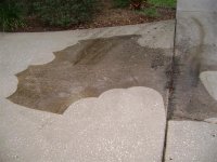 Roof Cleaning and Pressure Washing Clearwater, Dunedin Florida 052 (Medium).jpg