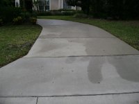 Roof Cleaning and Pressure Washing Clearwater, Dunedin Florida 058 (Medium).jpg