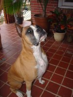 to be filed 014 (Large).jpg