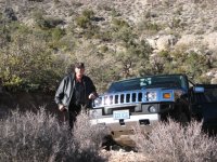 harvey  vacation.jpg