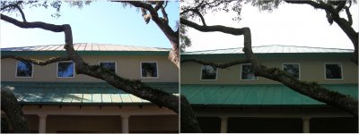 Roof 2.jpg