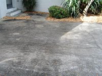 2 18 06 009 (Medium).jpg