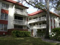 Roof Cleaning , Pressure Washing, Clearwater, Pinellas, Florida 028 (Medium).jpg