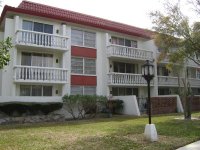 Roof Cleaning , Pressure Washing, Clearwater, Pinellas, Florida 041 (Medium).jpg