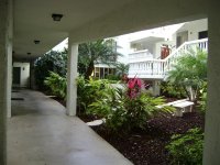 Roof Cleaning , Pressure Washing, Clearwater, Pinellas, Florida 031 (Medium).jpg