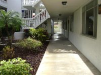 Roof Cleaning , Pressure Washing, Clearwater, Pinellas, Florida 035 (Medium).jpg