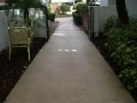 Roof Cleaning , Pressure Washing, Clearwater, Pinellas, Florida 033 (Medium).jpg