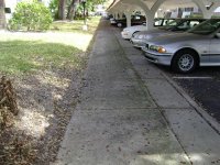 Roof Cleaning , Pressure Washing, Clearwater, Pinellas, Florida 014 (Medium).jpg