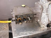 P4120074 (Medium).JPG