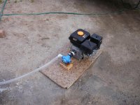 P5150087 (Medium).JPG