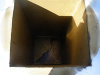 trummers 1-18-10 011 (Small).jpg