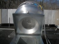 trummers 1-18-10 012 (Small).jpg